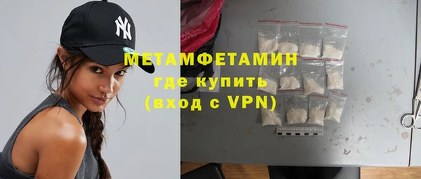 прущие грибы Няндома
