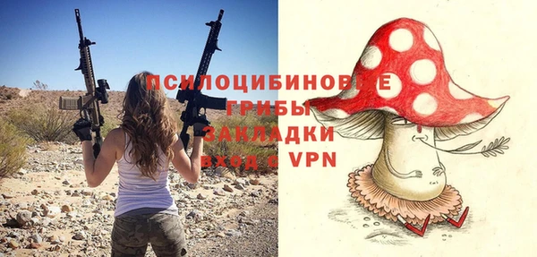 не бодяженный Алзамай