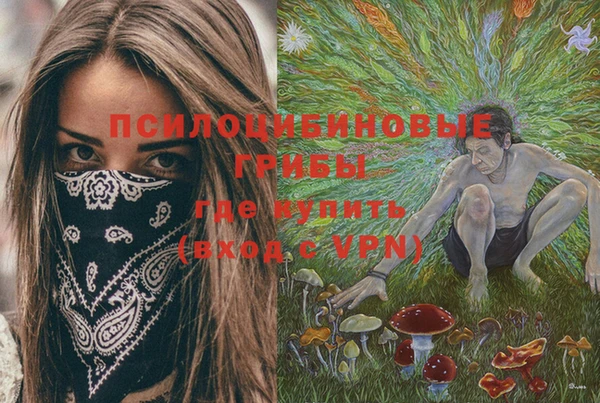 ешки Алексеевка