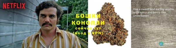 не бодяженный Алзамай