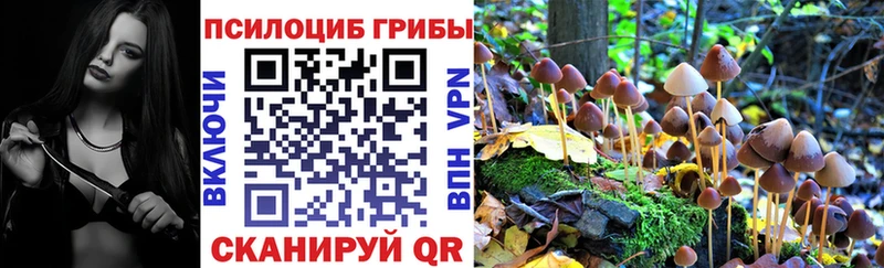 наркошоп  Нефтекумск  ссылка на мегу рабочий сайт  Галлюциногенные грибы Cubensis 